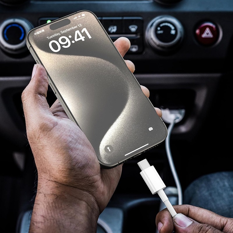 30W USB A To Type C Cable Date - Photography Date 评论和价格
