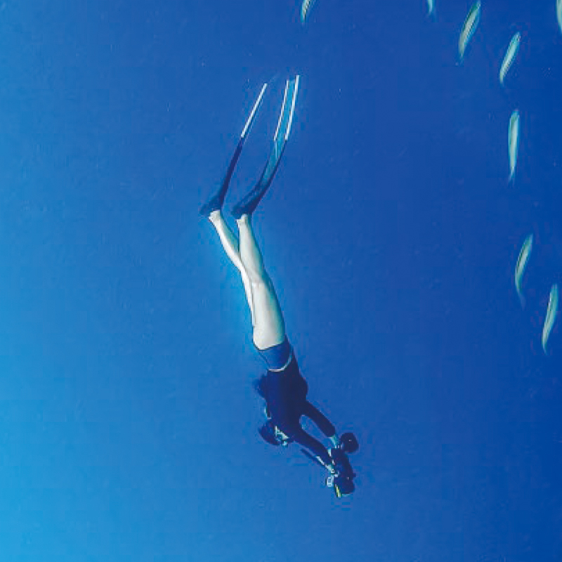 Navbow Smart Electric Diving S - Photography Date 评论和价格