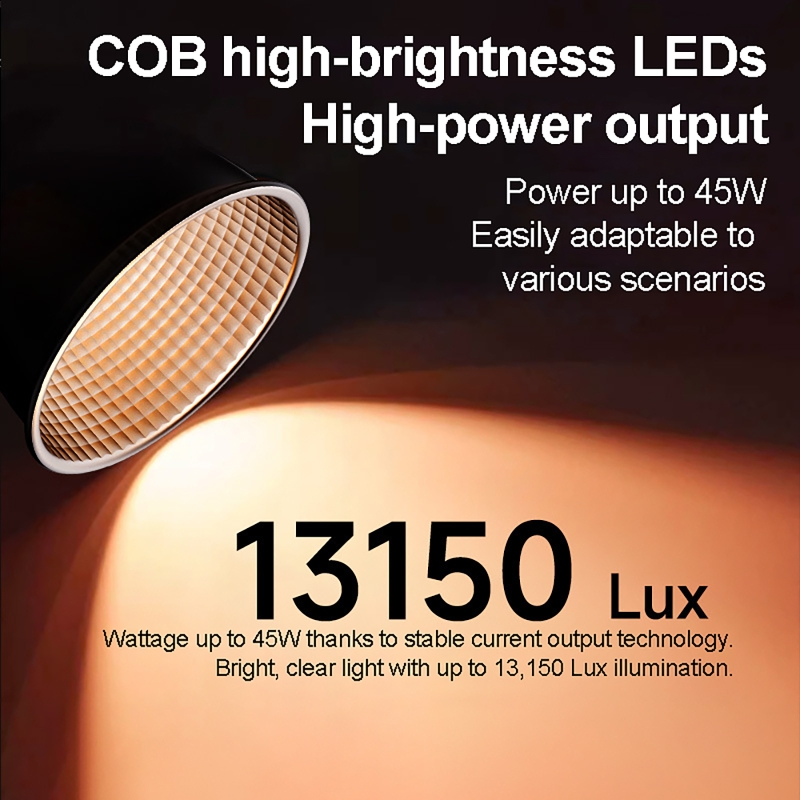 60W RGB Video Light Portable L - Photography Treatment 评论和价格