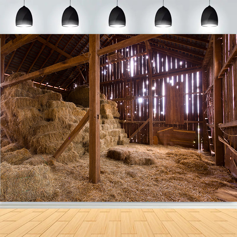 Western Cowboy Charm of the Co - Photography Backdrop Muslin 评论和价格